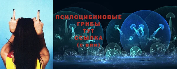 ПСИЛОЦИБИНОВЫЕ ГРИБЫ Аркадак