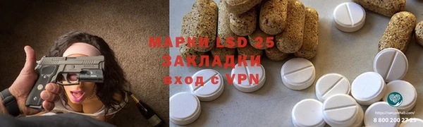 ПСИЛОЦИБИНОВЫЕ ГРИБЫ Аркадак