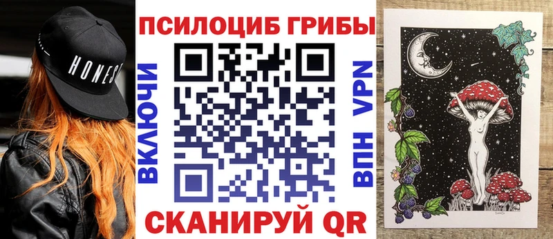 Псилоцибиновые грибы прущие грибы  Городище 